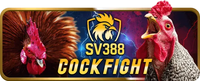 Hình ảnh các chương trình khuyến mãi và ưu đãi hấp dẫn dành cho thành viên vn23 casino